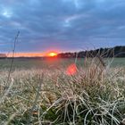 Sonnenuntergang am Feldrand