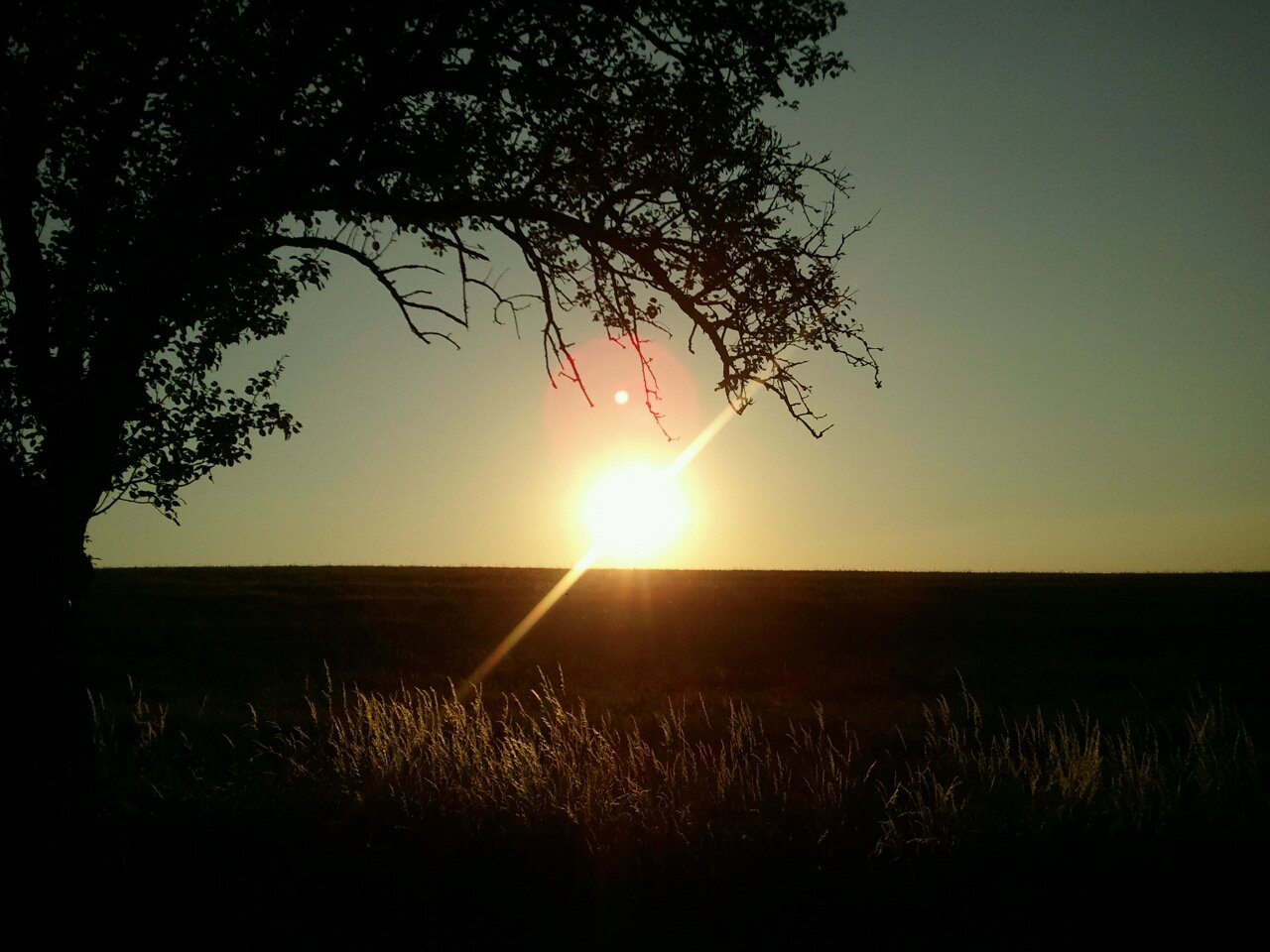 Sonnenuntergang am Feldrand