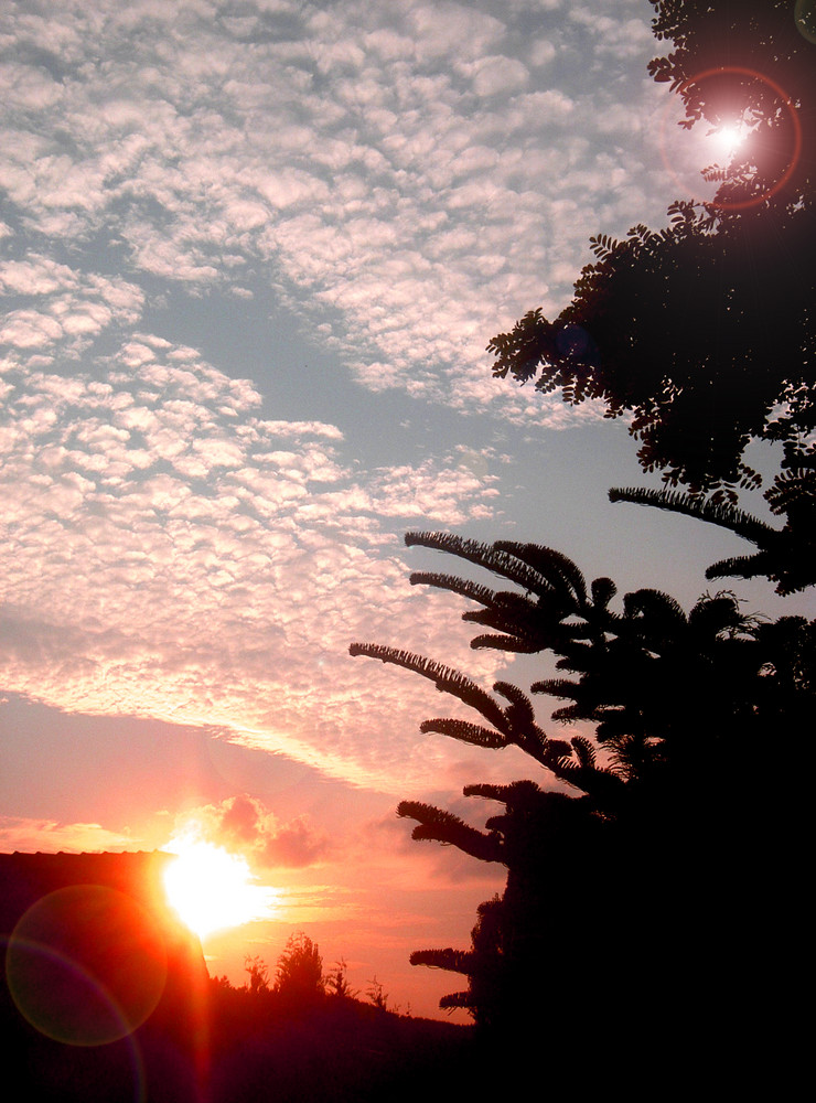 Sonnenuntergang am Feldweg