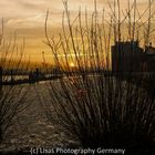 Sonnenuntergang am Fischmarkt