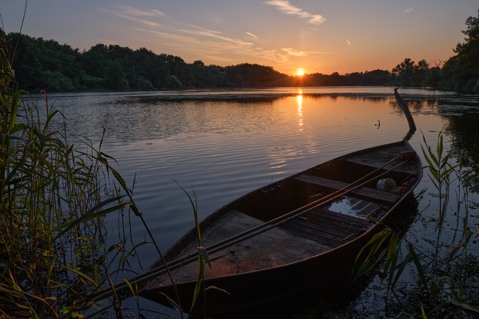 Sonnenuntergang am Fischteich