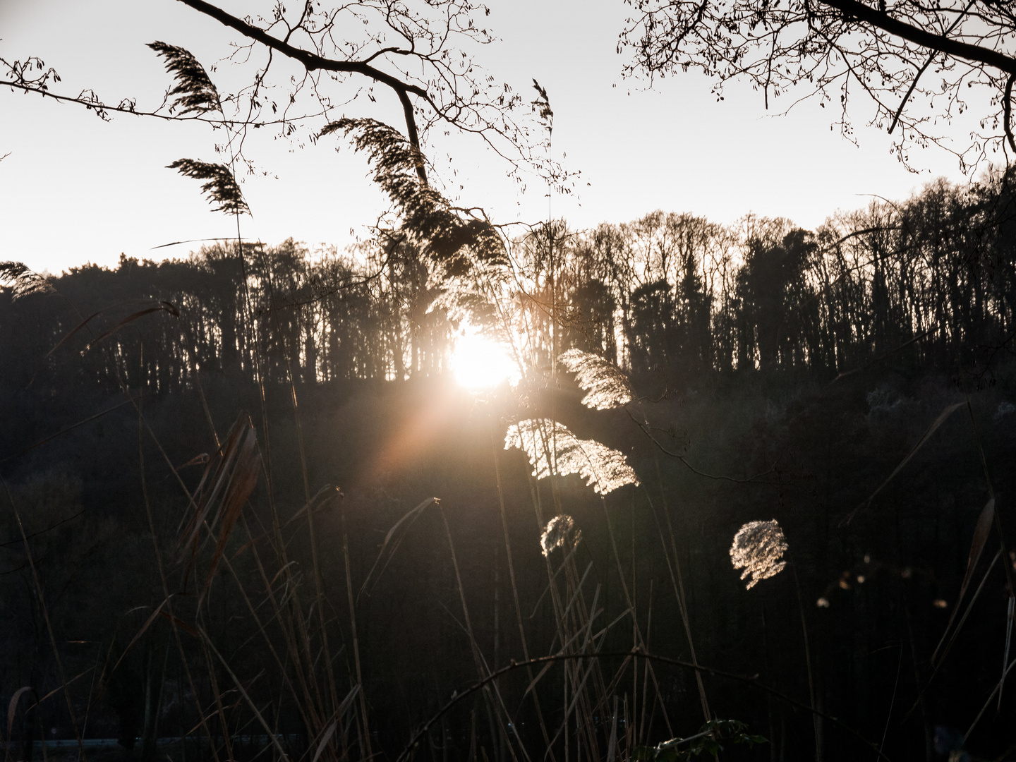 Sonnenuntergang am Fluss 08