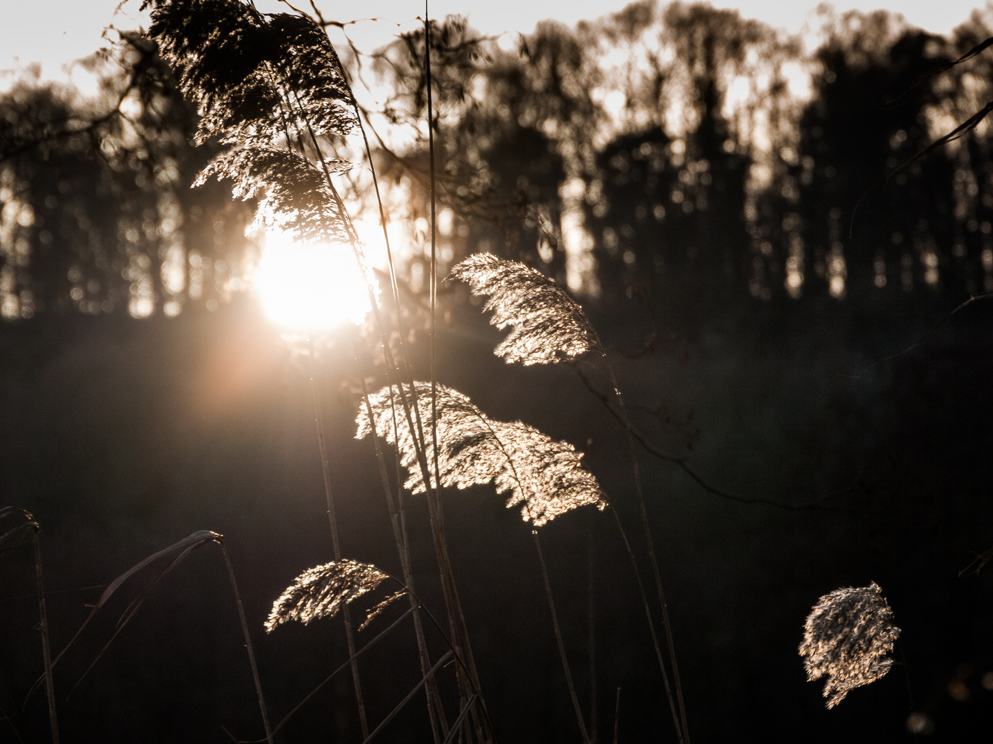 Sonnenuntergang am Fluss 09