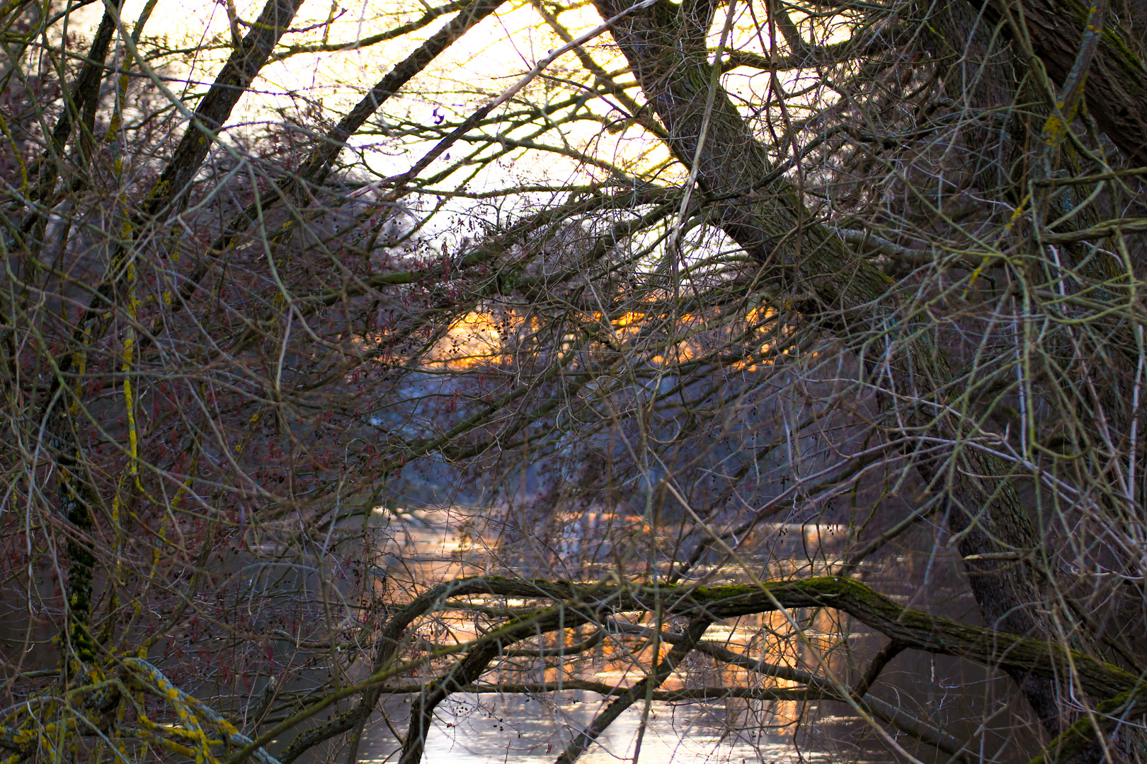 Sonnenuntergang am Fluss