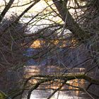 Sonnenuntergang am Fluss