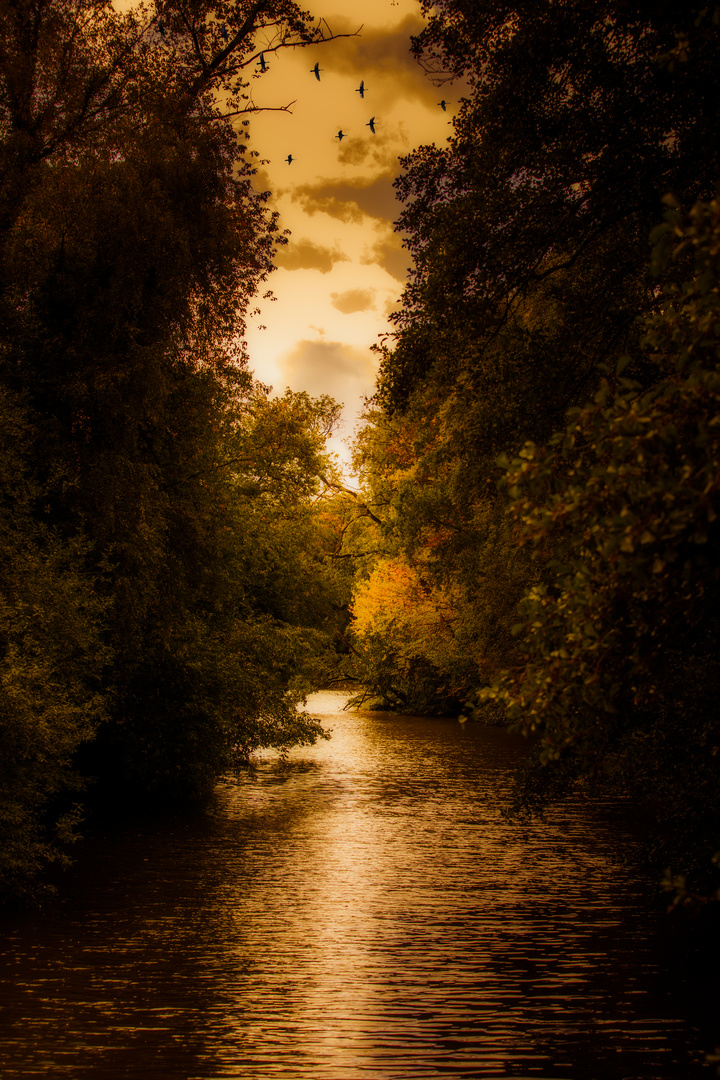 Sonnenuntergang am Fluss der Träume