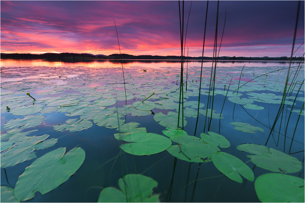 sonnenuntergang am forggensee