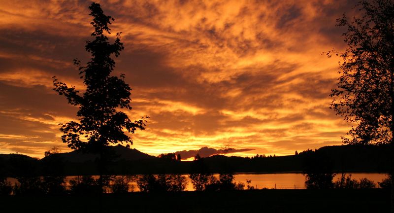 Sonnenuntergang am Forggensee