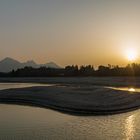 Sonnenuntergang am Forggensee