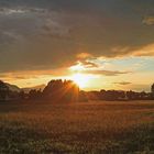 Sonnenuntergang am Forggensee