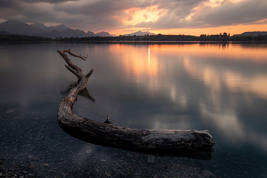 Sonnenuntergang am Forggensee im Allgäu