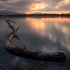 Sonnenuntergang am Forggensee im Allgäu