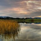 Sonnenuntergang am Froschhauser Weiher (der heißt wirklich so ...)