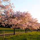 Sonnenuntergang am Frühlingsanfang im Ruhrgebiet