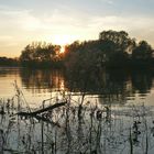 Sonnenuntergang am Fühlinger See in Köln