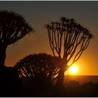 Sonnenuntergang am Garas Quievertree Campground