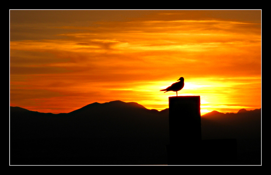 Sonnenuntergang am Gardasee 1