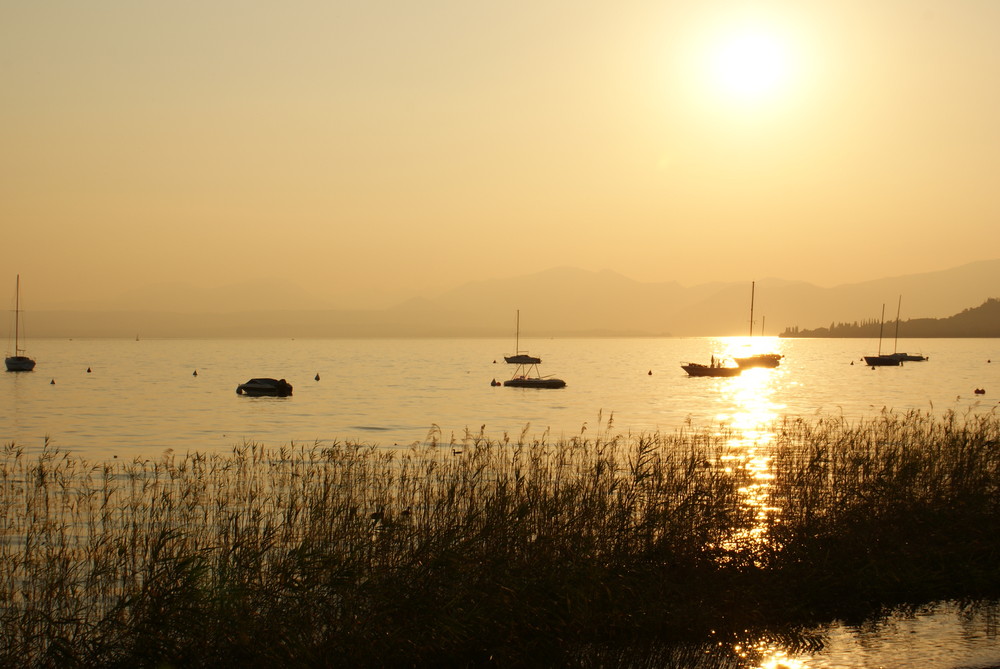 Sonnenuntergang am Gardasee 2009 - 2