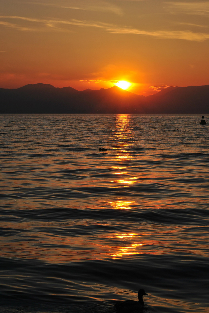 Sonnenuntergang am Gardasee