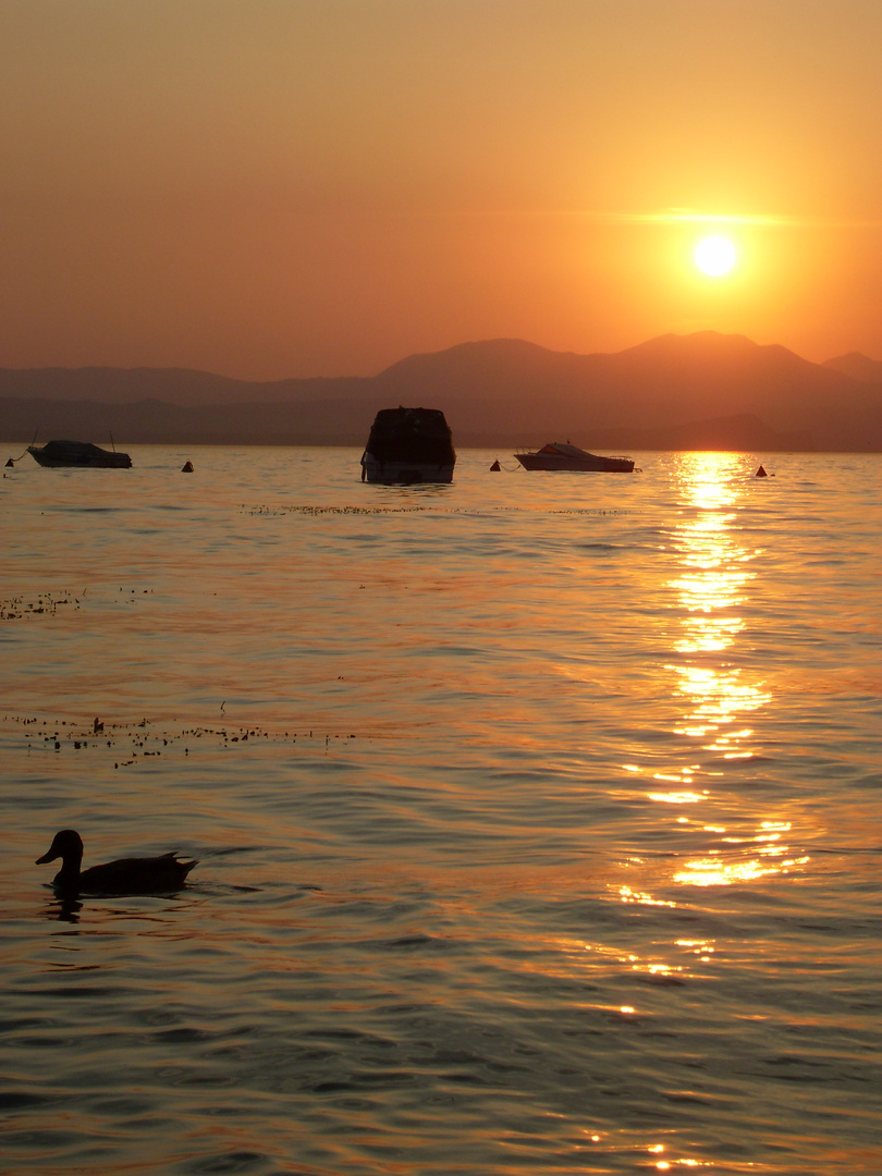 Sonnenuntergang am Gardasee