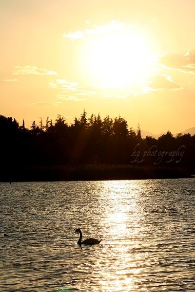 Sonnenuntergang am Gardasee