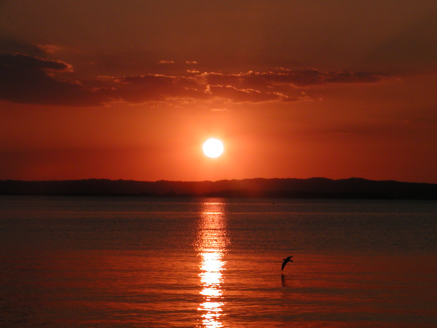 Sonnenuntergang am Gardasee