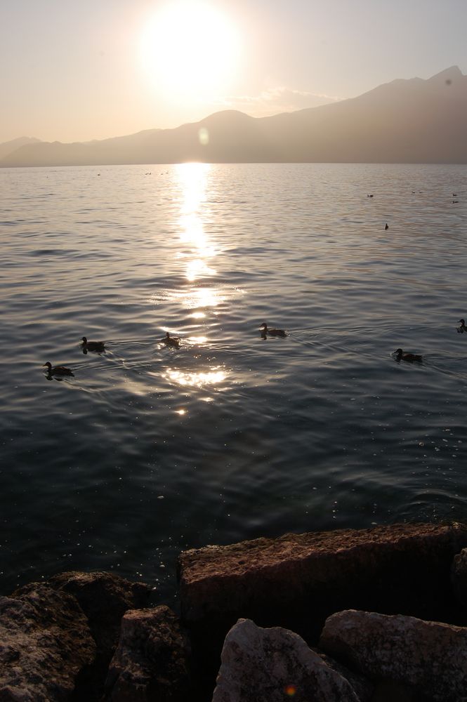 Sonnenuntergang am Gardasee