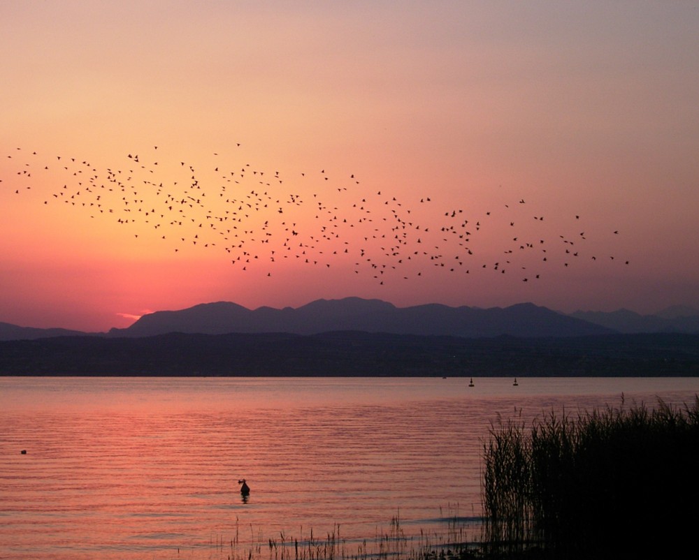 Sonnenuntergang am Gardasee