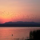 Sonnenuntergang am Gardasee