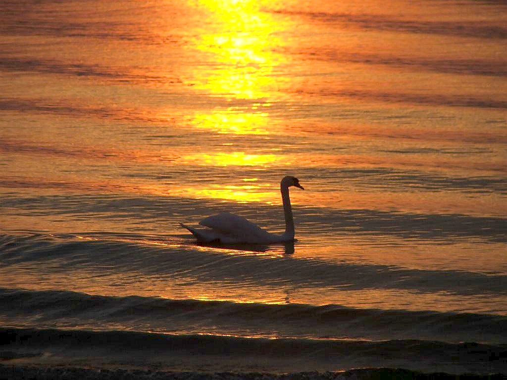 Sonnenuntergang am Gardasee