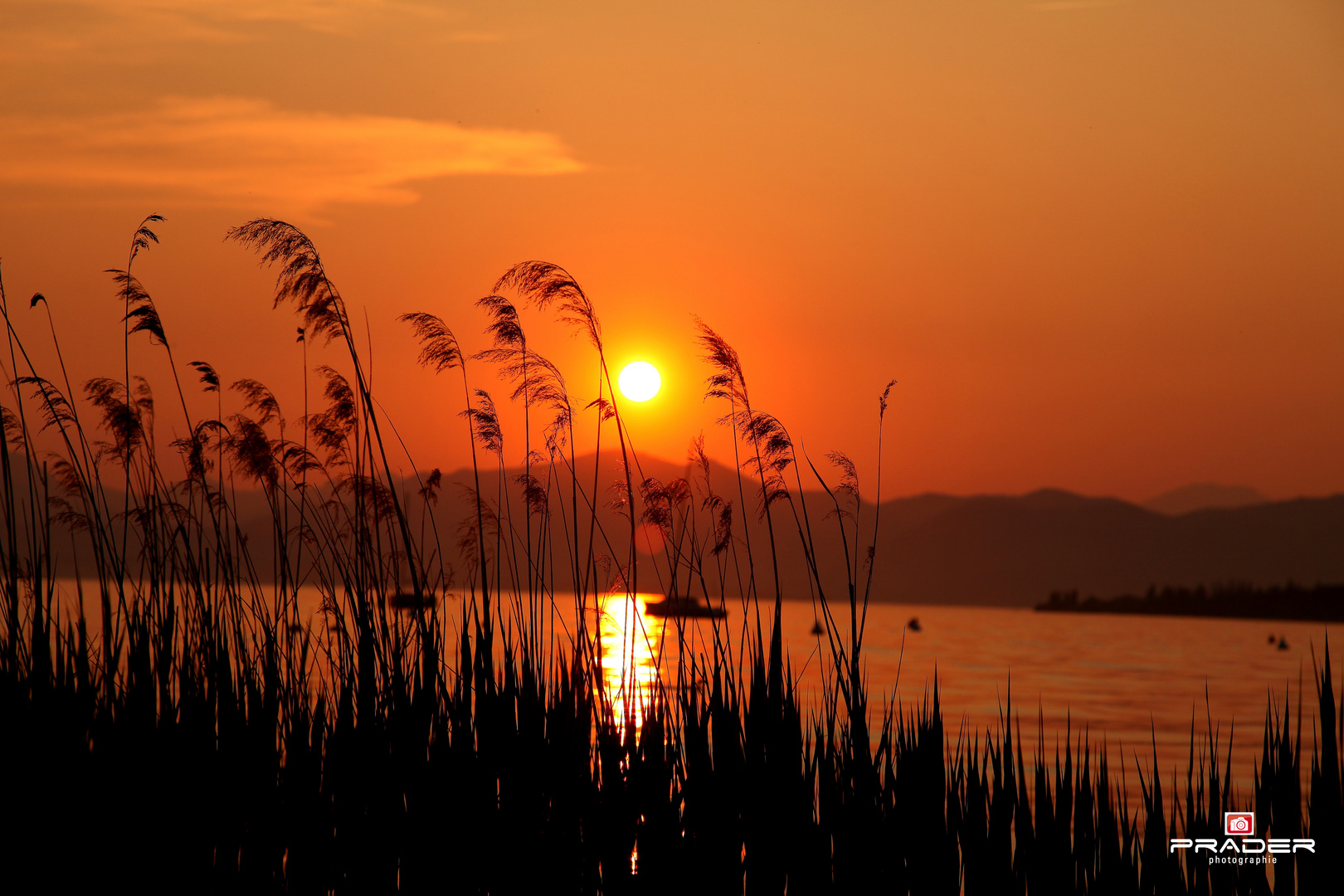 Sonnenuntergang am Gardasee