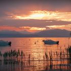 Sonnenuntergang am Gardasee