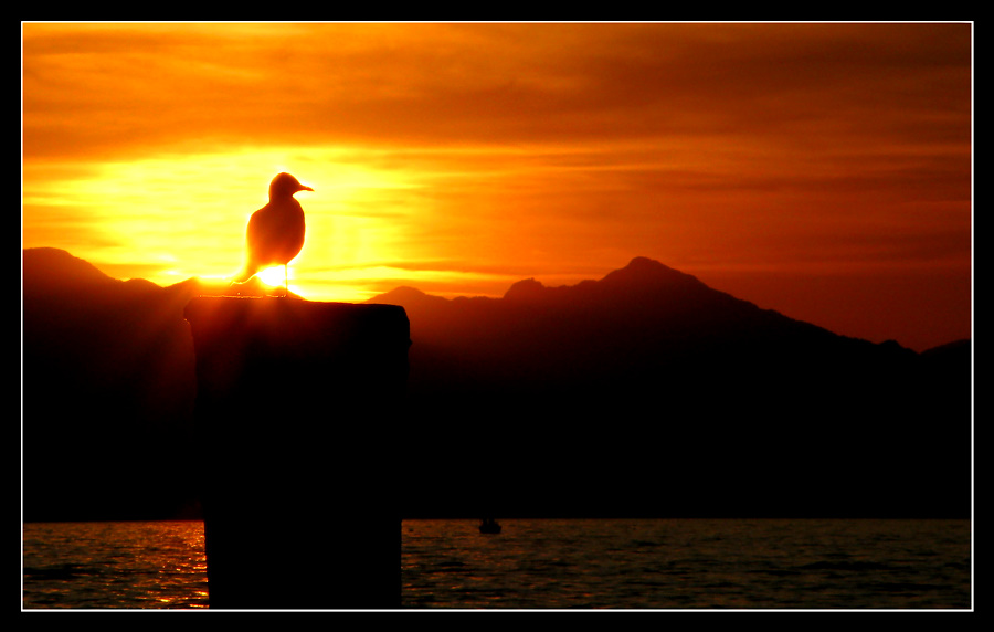 Sonnenuntergang am Gardasee