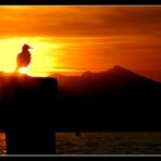 Sonnenuntergang am Gardasee