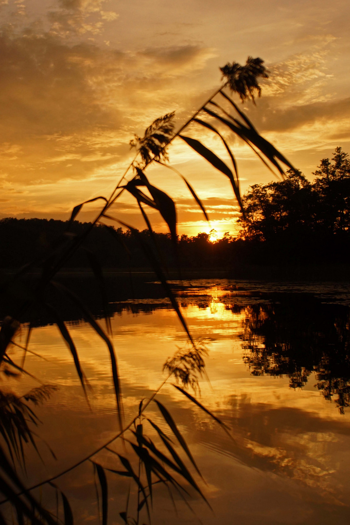 Sonnenuntergang am Garziner See (bei Strausberg)