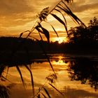 Sonnenuntergang am Garziner See (bei Strausberg)