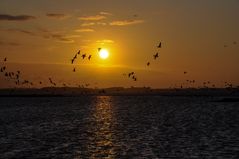 Sonnenuntergang am Geltinger Birk