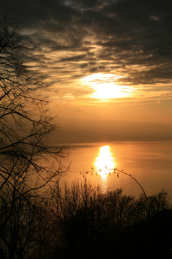 Sonnenuntergang am Genfersee