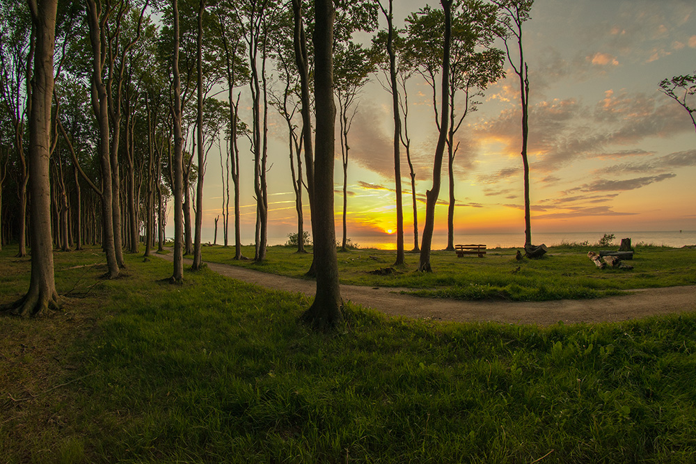 Sonnenuntergang am Gespensterwald Nienhagen