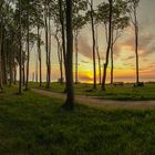 Sonnenuntergang am Gespensterwald Nienhagen