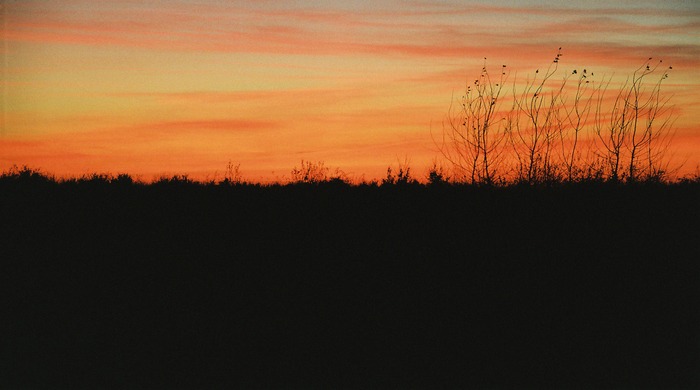 Sonnenuntergang am Golfplatz