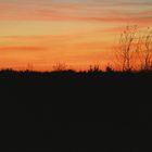 Sonnenuntergang am Golfplatz