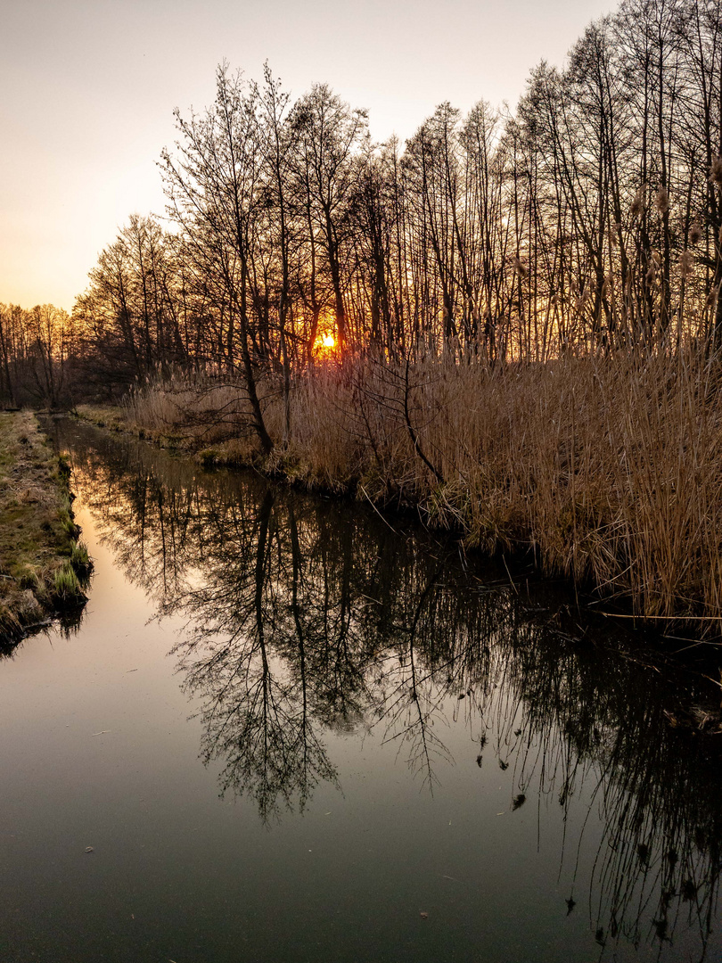 Sonnenuntergang am Graben