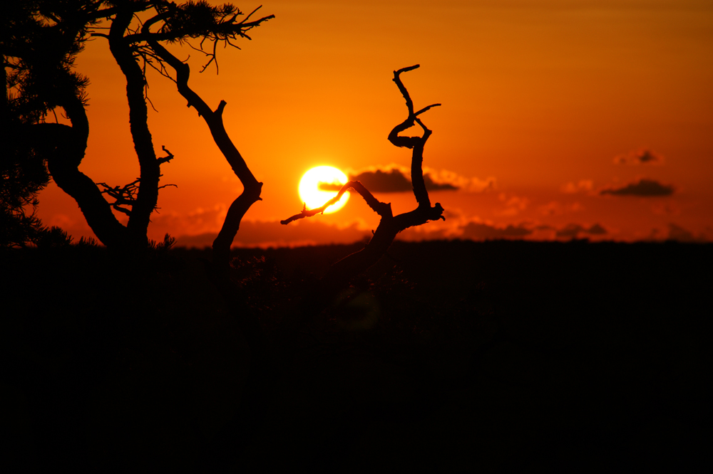 Sonnenuntergang am Grand Canyon, Arizona, USA