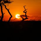 Sonnenuntergang am Grand Canyon, Arizona, USA