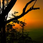 Sonnenuntergang am Großen Feldberg / Taunus