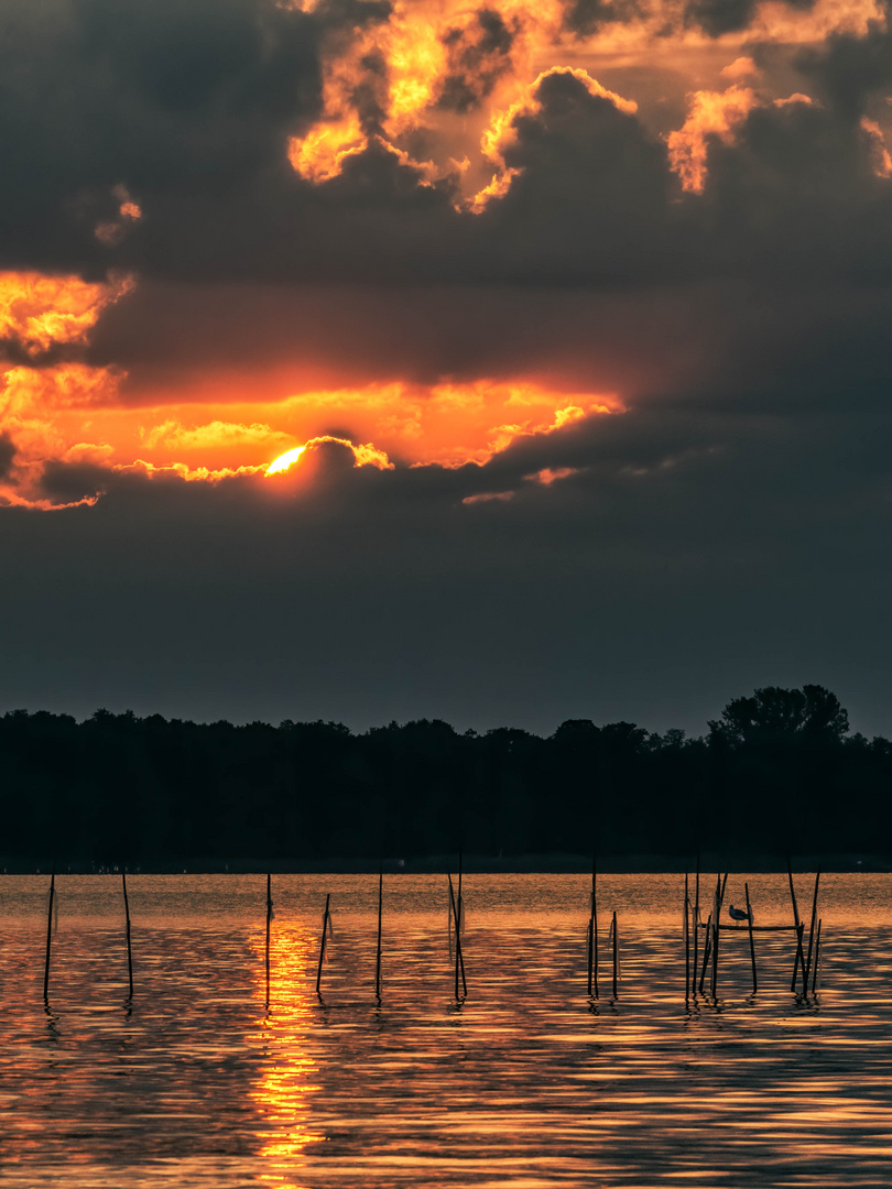 Sonnenuntergang am grossen Müggelsee