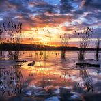 Sonnenuntergang am grossen Müggelsee