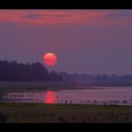 Sonnenuntergang am Gülper See