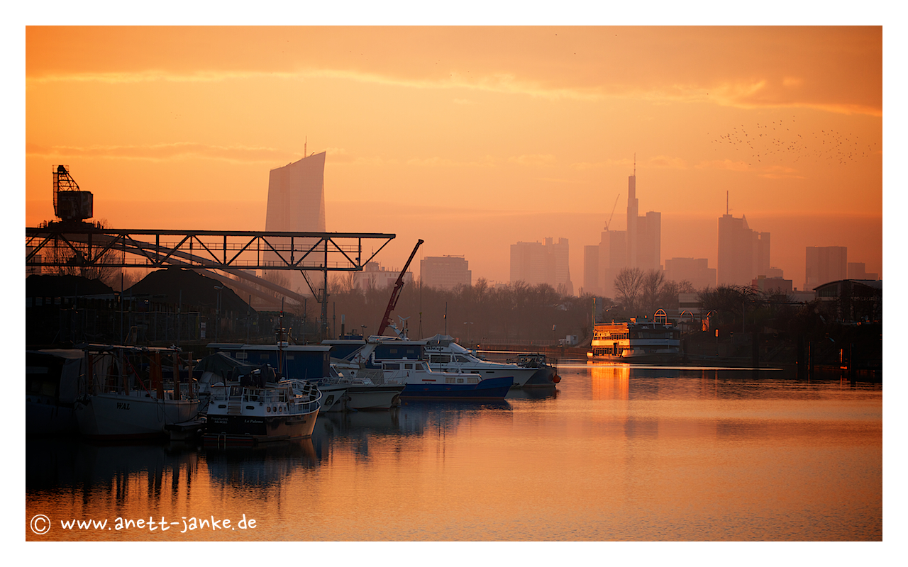 Sonnenuntergang am Hafen